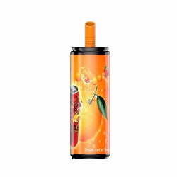 6000 Puffs Tin Disposable Vape