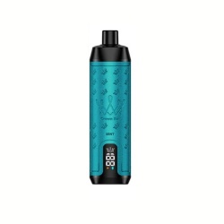 8000 Puffs Screen Display Disposable Vape
