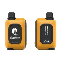 15000 Puffs Bruce Lee Voice Talking Vape